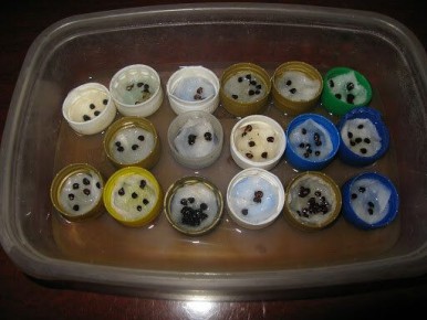 ��������� ������� ������������ ������ �� ����������� ������� � �������