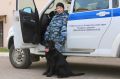 #ХорошихВыходных нашим подписчикам желает заместитель начальника отдела Центра кинологической службы ГУ МВД России по Ставропольскому краю Анастасия Кочкина и ее служебная собака Гермес
