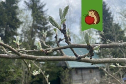 ����� � ����: ��� ����������� ������ � �������� ������ � ������ �� ����������