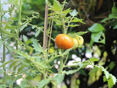 ������������� ����� �� ������� �������: ��� �������� �������� ������