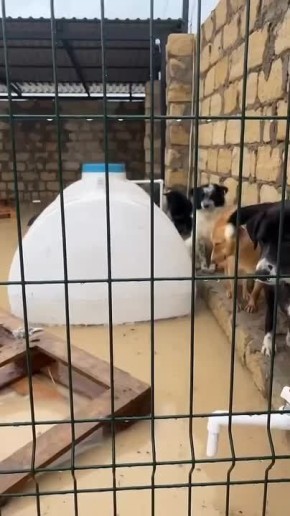 ������ � ��������� ���� ��������