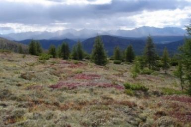 ����� � �������, �������� � ��������� � ��������: ��� ��������� �� ������ �� ������