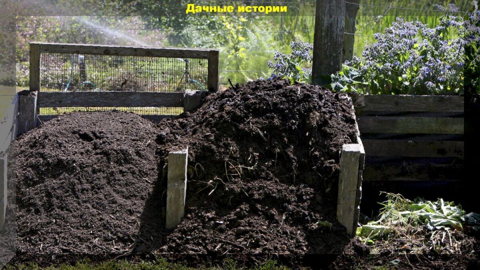 ������� �������� ���������������: ��� ������� ����������� ���������� ����� �� ����