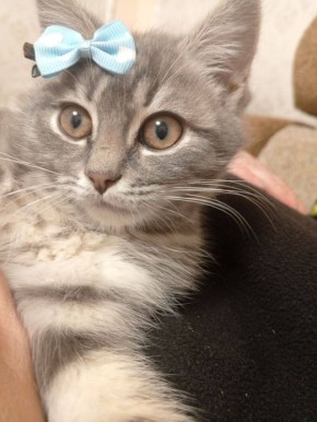 ������� ���� �������� �����: � �������������, � ����� ��������, � ��������� �������