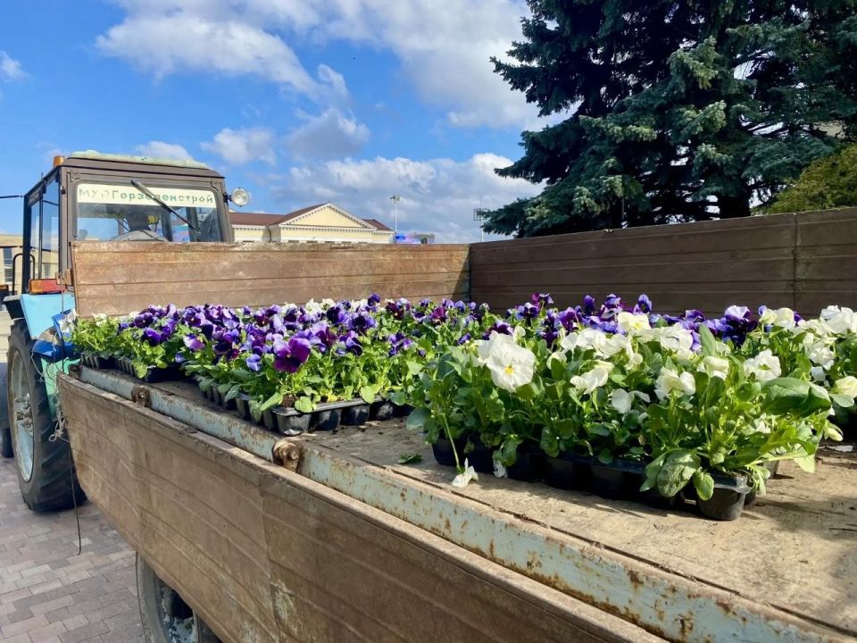 � ���������� ��� ������ �������� ������ � ���������� �����