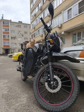 ��� ��� ������������ ��������� � �����