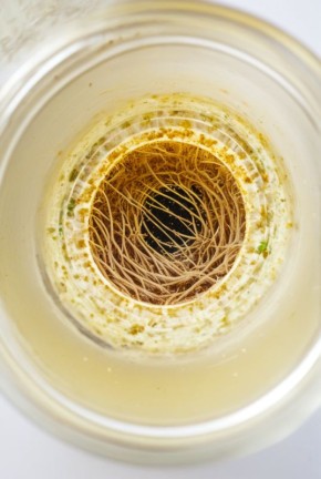 ����������� ��� ������� ����: ���������� ������� ��� ����������� �������