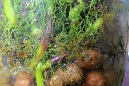 �������� � ��������� �������: ������ � ������� �����