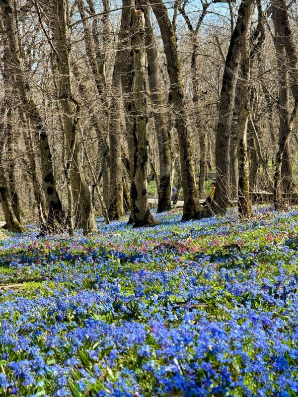 � �� ������ ��� ����� �������!