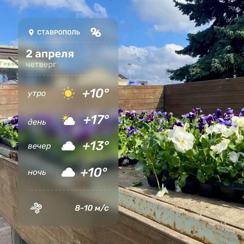 ������ ����!. ������ ������� ������� ���� �����, ������� ������ �� �����! ��������� �� �������26� � MAX