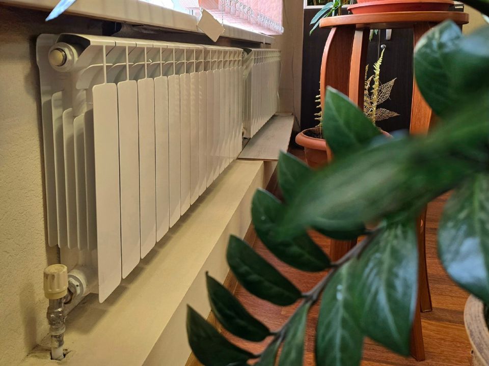 ������ ������ ���� � ����� � ����������� ���������� � ���� ���������� ������������� ������