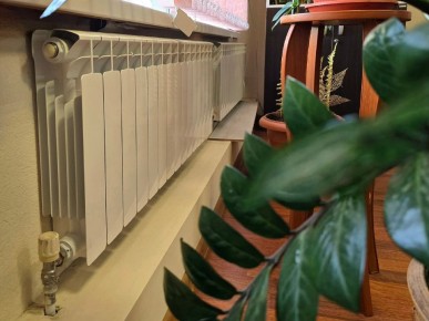 ������ ������ ���� � ����� � ����������� ���������� � ���� ���������� ������������� ������