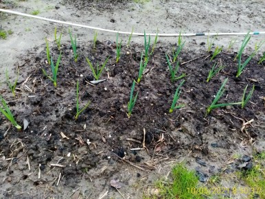 ������ � ������ � �������: ������� ���� ��� �������� ������