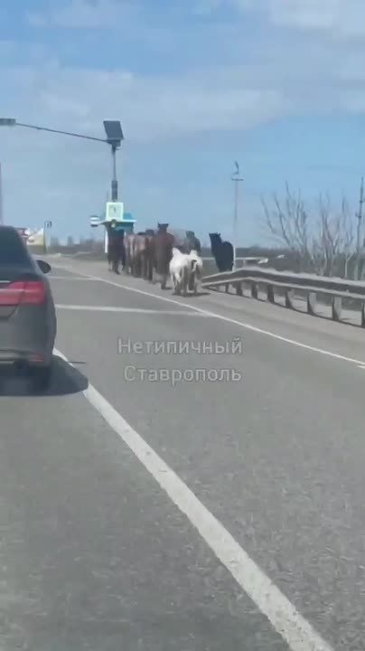 �� ������ � ���������� ����� ����� ���� � ����