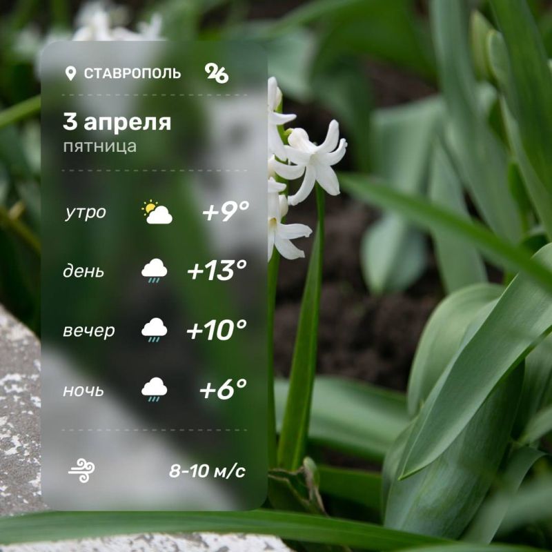 ������ � ���������� �� �������