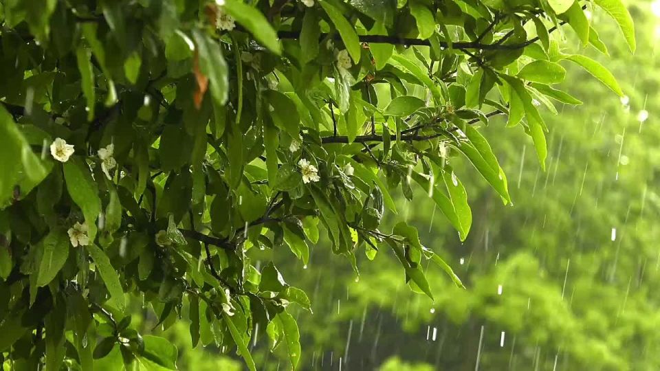 �� ������ ����������, ������ �� ����������� ������� ��������������� �����, �����