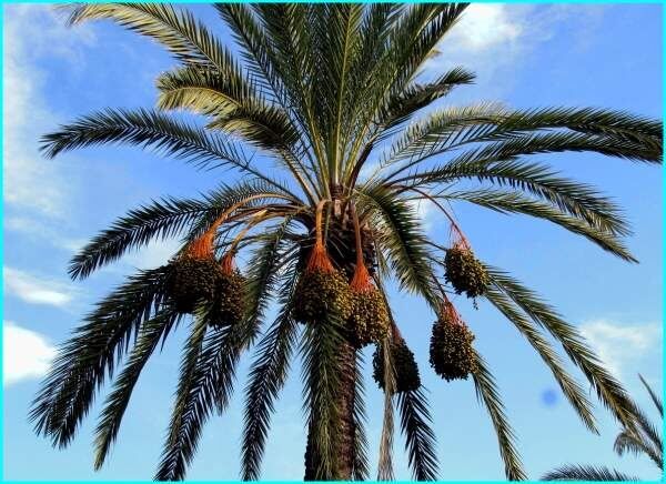 ��� ��������� ��������� ������: ���������� ������� �������� � ��� ���