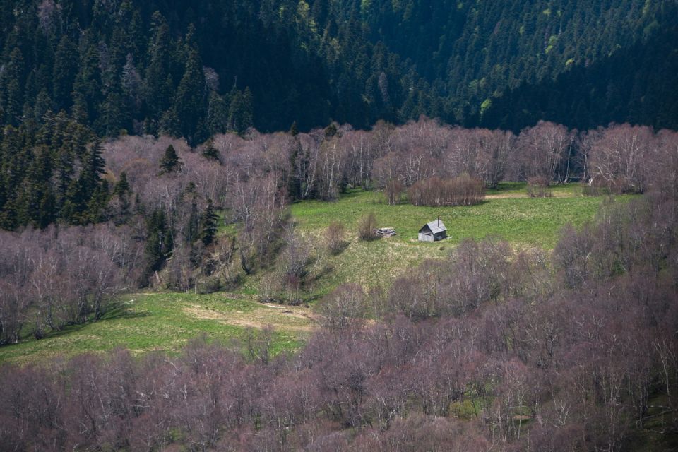 ����������� ������: ����� ������� ��� ������������� �������� ������� � ���������