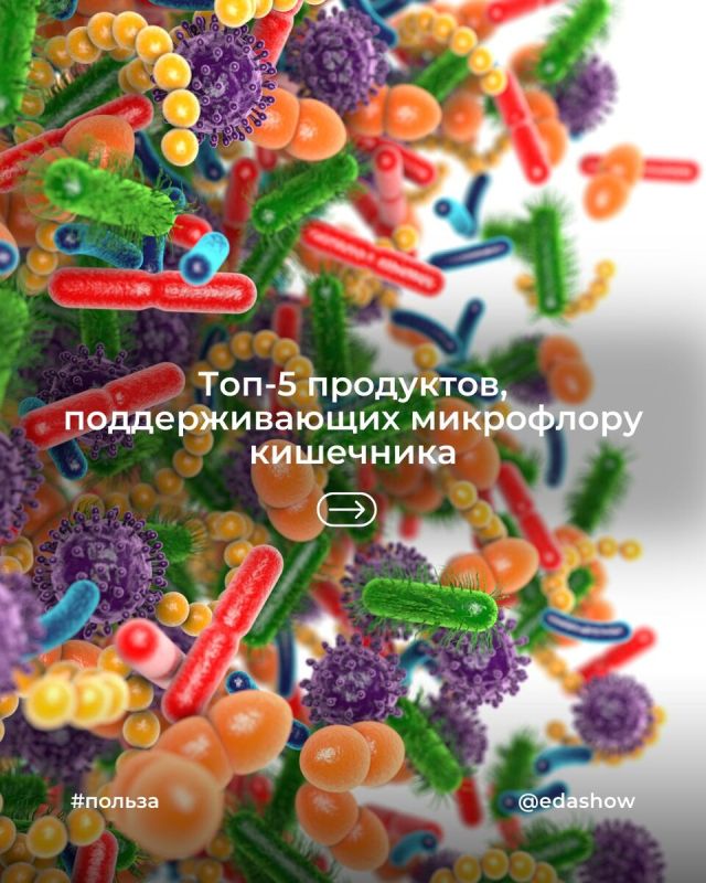 ��� ��������� �������� ���������: ���� ������ ���������