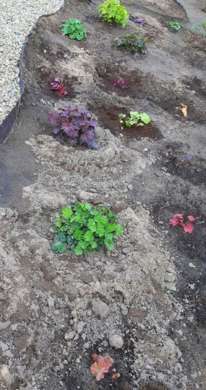 �������� ��������: ��� ������ � ��������� ����������