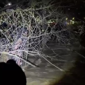 Людей достают из течения в Дербентском районе