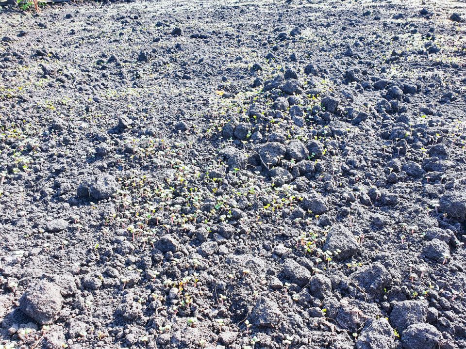 ����� �� ����: ��� ����������� ��� � �������� ������