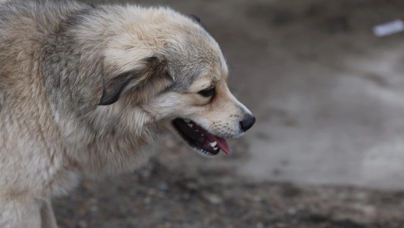 �������� � ���������� �������� � �������� ����� �� ������������ ��������