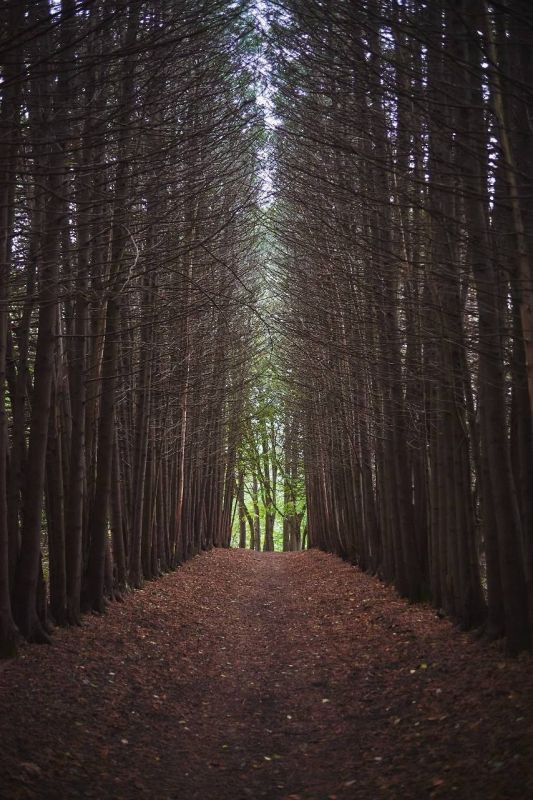 �������������� ���� �� ������������� ��������