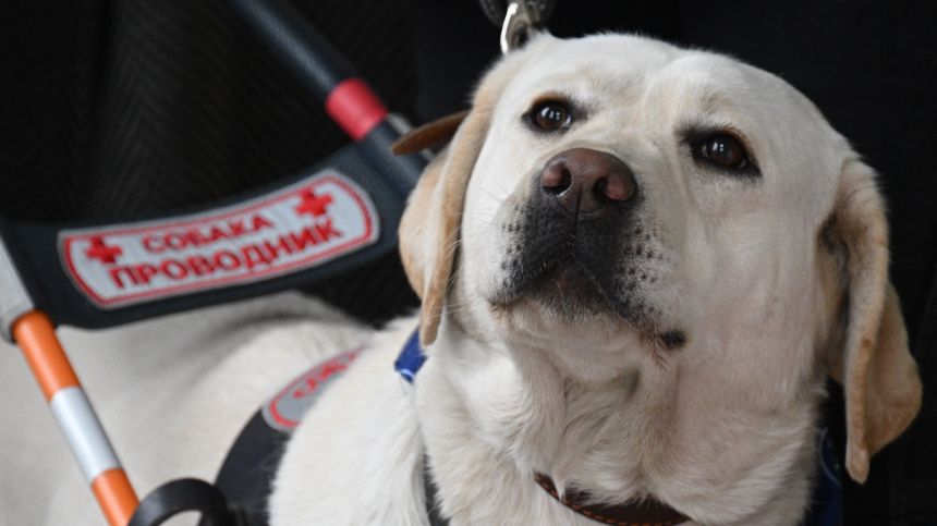 � ������ �������� ����� ��������� ������: ��� ��� ���� � ������