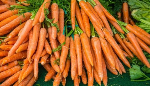 ������� ��������� ����������� ������� �������: �� ������ ����� �� �����