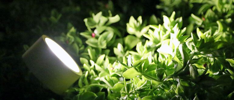 ����� ��������� ����: ��� ��������� �������� ����� ����� ����������