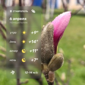 Доброе утро!. Понедельник обещает быть тёплым и солнечным