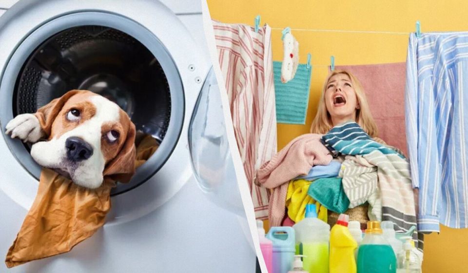 �������� �������� �� ����, ������� ������ ������� � ���������� ������