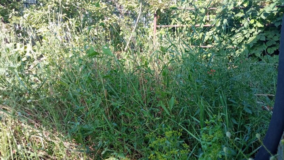 ����������� �������� �� ����: ������ ������ ��-�� �������� ��������