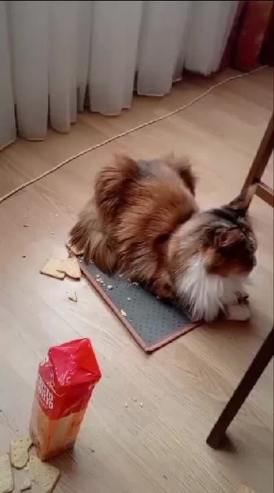 ����� ������� ������ �� ���������� ������ � ���� �������� ���� �������