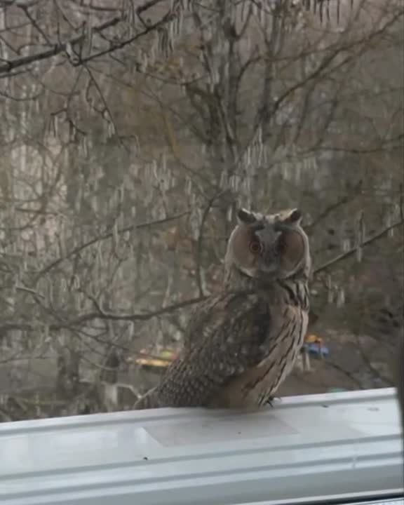 �� ���������� � ���������� ���� ������� � ���������� ��������