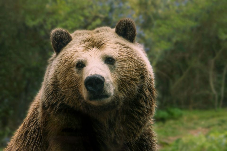 ������� �������� ������������ � ������������� �� ���������� ��������� �����������