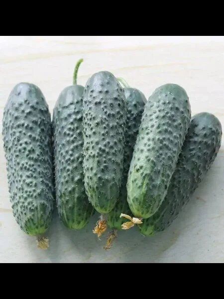 ����� ������ ������: ��������� ������ ������ ��� ������