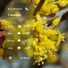 Доброе утро!. Сегодня похолодает, весь день обещают дождь с грозой