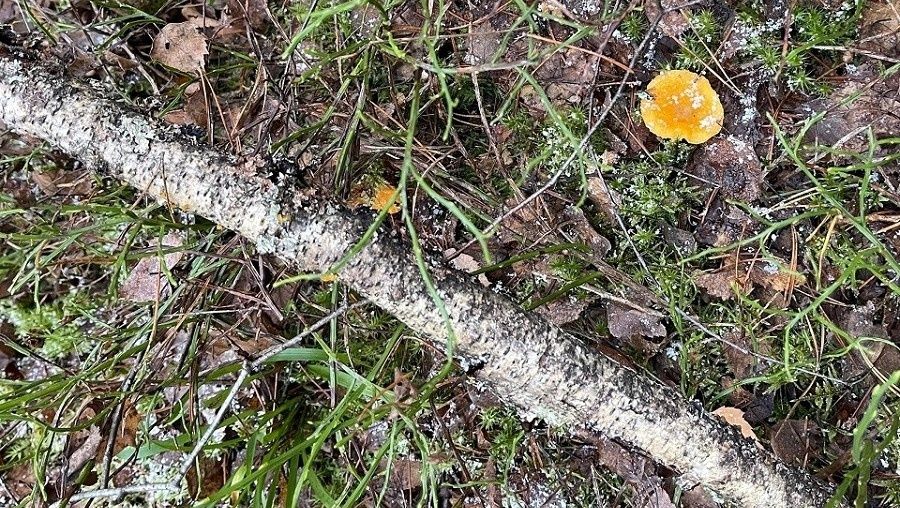 ������ ����������� � ������ ������ ������ ������