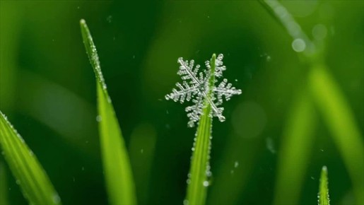 ��������� � ������� � �� ����������� ����� -1�-3�� ��������� ������� � �������������� ���� ����� � ����� 8, 9 � 10 ������