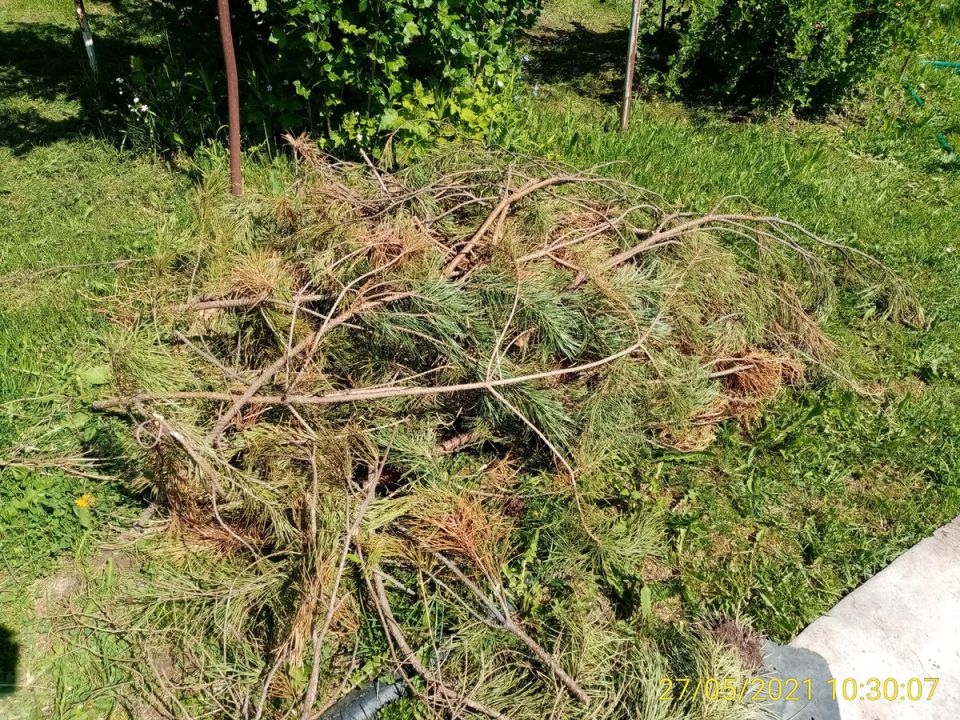 �������� �������� �� ����: ��� ������� ����������� � ������ ���������