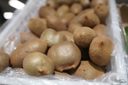 ����: ����������, ������� ��������� ������ � ���������