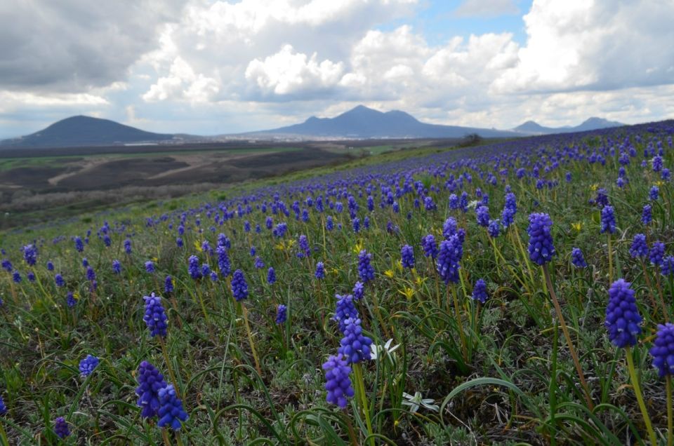 "�����" �� ������� �� ���� �����