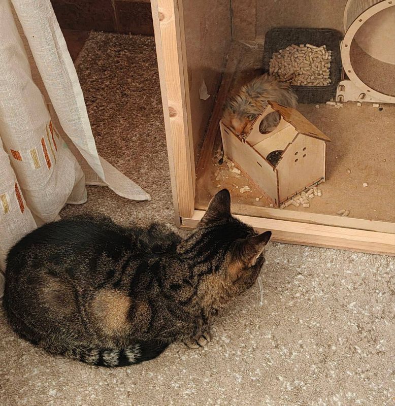 ����� ���� ��������� �� ����� ������ ��������