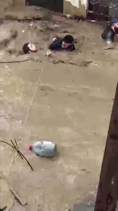 ������� �������� ���������� �� ������������ ���� � ���������