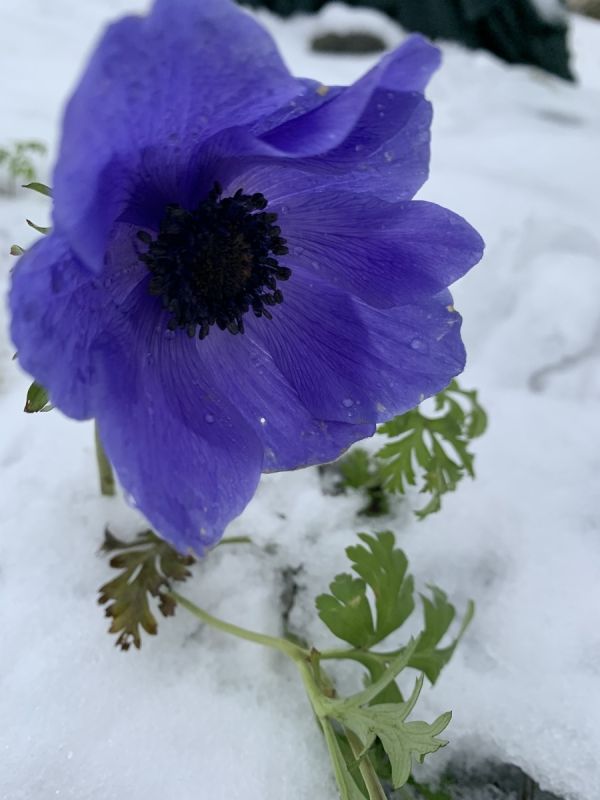 ����� ���� ��� ����: �������� ������� ������ ��������� ���������