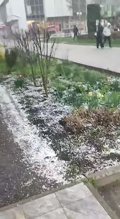 ���� � ������ � �� ��� ����������