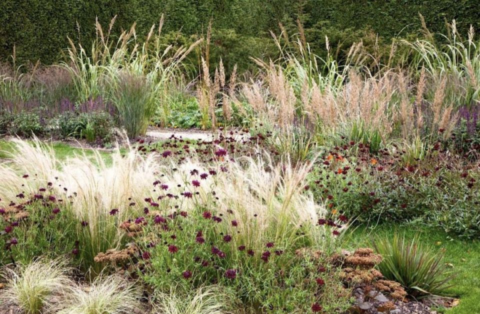 �������� �������: ��� ������������ ����� ����������� ��� ���