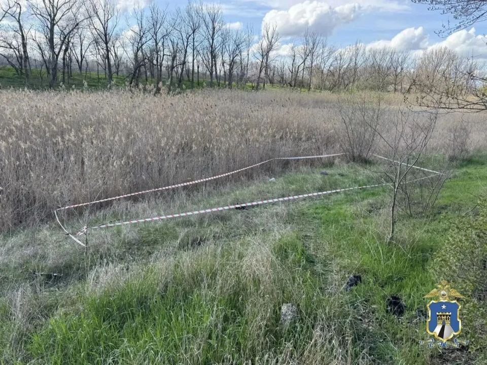 ������������ ���� ������� ����� � ������������� � ������� ��������� 56-������ ������� ���������